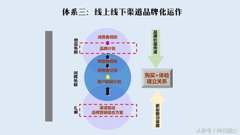 打造品牌核心競爭力 品牌管理三步五體系實(shí)戰(zhàn)指南